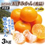  мандарин Ehime производство Ehime предубеждение шар Цу мандарин 3kg превосходящий товар бесплатная доставка подарок шар Цу еда страна ..