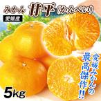  мандарин Ehime производство сильно сниженная цена . flat 5kg. для бытового использования бесплатная доставка .... can pei еда страна ..