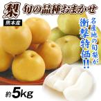  груша примерно 5kg. для бытового использования случайный мир груша Kumamoto производство есть перевод . вода . вода .... новый высота новый . другой бесплатная доставка еда 