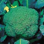  вид овощи .. брокколи F1.... зеленый 1 пакет (0.5ml).... вид страна ..