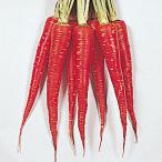  вид овощи .. человек Gin пунцовый высшее . сырой золотой час 1 пакет (8ml) морковь .... вид страна ..