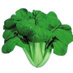  вид овощи .. здоровье овощи Osaka ...1 пакет (10ml).... вид страна ..