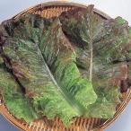  вид овощи .. lettuce красный yakiniku lettuce 1 пакет (2ml).... вид страна ..