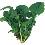  вид овощи .. трава Rocket (rukola) 1 пакет (4ml).... вид страна ..