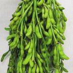  вид овощи ..edamame..1 пакет (30ml) ветка бобы ....... вид страна ..