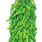  вид овощи ..edamame..... ветка бобы 1 пакет (25ml) ветка бобы .... вид страна ..