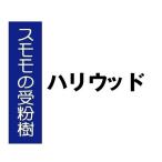 商品画像3