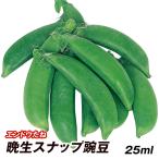 種 野菜たね マメ エンドウ 晩生スナップ豌豆 1袋（25ml） まめ 豆 やさいたね タネ 国華園 こっかえん