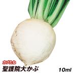  вид овощи .. Cub ... большой ..1 пакет (10ml). овощи. вид страна ..