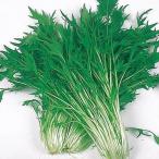 種 野菜たね 菜類 早生千筋京水菜 1袋(6ml) みずな 野菜の種 国華園