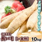 山いも 10kg 北海道産 長いも（一本物）10〜15本 送料無料 芋 野菜 食品 国華園