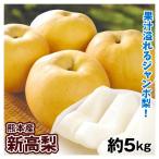 梨 約5kg 新高梨 熊本産 ご家庭用送料無料 食品