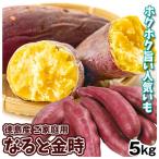 さつまいも 5kg なると金時 ご家庭用 徳島産 送料無料 食品