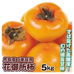 柿 5kg 花御所柿 (はなごしょ) 鳥取産