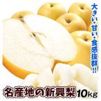梨 10kg 名産地の新興梨 ご家庭用 送料無料 食品