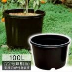 ショッピング植木鉢 鉢 植木鉢 ビッグ鉢100L型 黒 10個組 ≪代引不可≫ 国華園