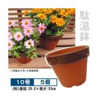 鉢 植木鉢 駄温鉢 深型10号 5個1組 ≪代引不可≫ 国華園