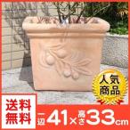 植木鉢 テラコッタ 素焼き鉢 ベトナム鉢 エポカ・大 1個 おしゃれ アンティーク トマト栽培 国華園