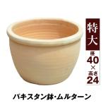鉢 テラコッタ 素焼 おしゃれ パキスタン鉢・ムルターン 特大 1個 観葉植物 植木鉢 トマト 栽培 多肉植物 花 野菜 国華園