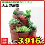 ショッピング植木鉢 鉢 植木鉢 ポリ製 多肉植物 寄せ植え かわいい プチオアシス・天上の庭園 1個 女性 プレゼント 国華園