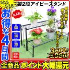 花台 フラワースタンド 鉄製 アイビースタンド 2段 1個 幅80 奥行40 高さ38 黒 ラック アイアン ガーデニング 庭 園芸 棚 花壇 ガーデン プランター 花 国華園