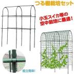 支柱 つる棚栽培セット 園芸 農業 1組 国華園