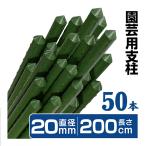 園芸 支柱 Φ20mm×200cm 50本 2m イボ付き鋼管製 個人宅OK イボ支柱 内キャップ式 十字キャップ付き 農業用支柱 イボ竹 菜園 野菜 栽培 農業資材 国華園