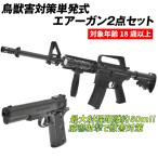 獣害 鳥害 おどし用 鳥獣害対策単発式エアーガン２点セット1組 バイオ弾＆BB弾付 迷惑動物 撃退 おどし 動物よけ エアガン 国華園