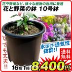 鉢 植木鉢 花と野菜の鉢 菊鉢 10号 16
