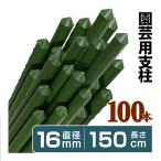 支柱 園芸 農業 イボ付鋼管製 Φ16mm×150cm 100本組 イボ竹 菜園 野菜 栽培 国華園