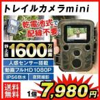 防犯カメラ 監視 トレイルカメラmini 1個 ハンティング フィールド 屋外 屋内 防雨 防塵 乾電池 1600万画素 フルHD 熱感知 赤外線センサー  日本語説明書 国華園