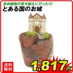 鉢 植木鉢 ポリ製 多肉植物 寄せ植え かわいい ポリ製鉢・とある国のお城 1個 国華園