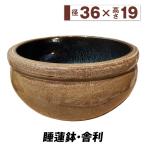 睡蓮鉢 すいれん鉢 舎利(しゃり) 1個 直径42・高さ21cm メダカ鉢 ハス鉢 陶器 水鉢 ビオトープ 国華園