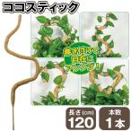  здесь палочка 120cm 1 шт. кокос здесь cocos nucifera волокно искривление .... декоративное растение растение в горшке фигурная скобка tsuta.. роза посадочная машина цветочный горшок садоводство садоводство страна ..