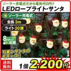 イルミネーション クリスマス LED イルミ ソーラーＬＥＤロープライト・サンタ １個 国華園