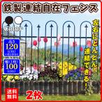 クリアランス ガーデン フェンス 鉄製 連結自在 フェンス (2枚組) 白 黒 幅198・高さ120cm 送料無料 アイアン 柵 仕切り 庭 公園 花壇 組立式 園芸 国華園