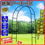 アーチ 鉄製 アーチEX 黒 2個 幅140 奥行40 高さ240 アイアン ガーデニング ガーデン 亜鉛 メッキ 錆びない バラ 庭 玄関 門 花 フラワー つる 薔薇 園芸 国華園