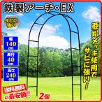 アーチ ガーデンアーチ ローズアーチ バラアーチ 鉄製アーチEX黒 2個 アイアン ガーデニング 幅140・奥行40・高さ240 庭 玄関 門 花 つるバラ 薔薇 園芸 国華園