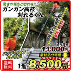 ヘッジトリマー 充電式 ポール ヘッジ トリマー ガンガン高枝刈れるくん 芝刈り機 草刈り機 軽量 女性 電動 コードレス 高枝バリカン 枝切り 庭木 草刈機 国華園