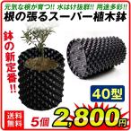 ショッピングプランター 鉢 植木鉢 置き場 プランター 根の張るスーパー植木鉢 40型 5個組