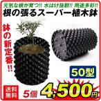 鉢 植木鉢 置き場 プランター 根の