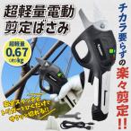 国華園 即納 超軽量電動剪定ばさみ 1個 充電式 切断直径17mm コードレス 軽量 片手操作 タイプc充電 電池残量表示 ハサミ 電動剪定はさみ 爆買