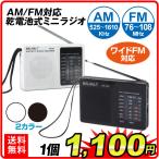 ラジオ 小型 乾電池式 ミニラジオ 1台 スピーカー付 FM AM イヤホン対応 携帯ラジオ ポータブル コンパクト アウトドア 防災 2色展開 国華園