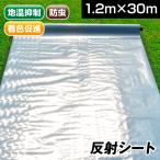 反射シート1.2×30ｍ　1巻 反射フィルム アルミ 反射クロスシート 農業 ガーデン 着色促進 果実 リンゴ ぶどう 梅 桃 銀反射 光反射シート