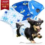 ..... ремень для животных собака мужчина 3 позиций комплект . утечка .. меры размер регулировка возможность маркировка предотвращение водонепроницаемый обработка подгузники мужской уход для высота всасывание .Hiq