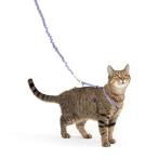 PetSafe( домашнее животное safe ) кошка. Harness легкий walk кошка для Harness &amp; банджи Lead lilac M размер 