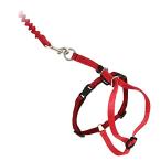 PetSafe( домашнее животное safe ) кошка. Harness легкий walk кошка для Harness &amp; банджи Lead красный L размер 