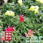 商品画像3