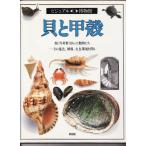 貝と甲殻 (ビジュアル博物館)