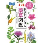 散歩で見つける薬草図鑑 (見分け方・使い方がよくわかる)